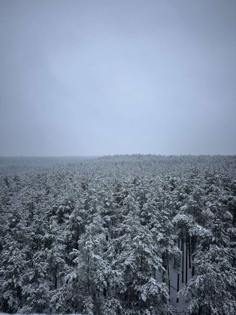 Diario di viaggio Vilnius