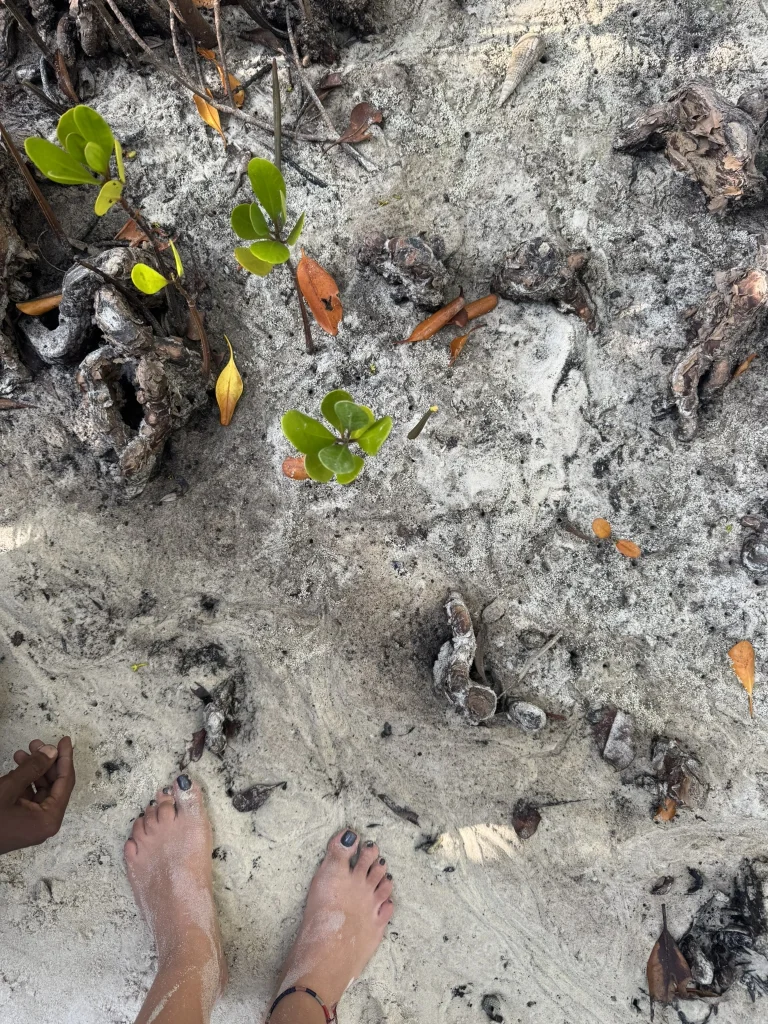 Digital nomad Kenya Watamu